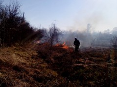 Соблюдайте правила пожарной безопасности в весенний период!