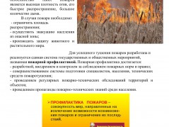 Осторожно камышевые пожары!