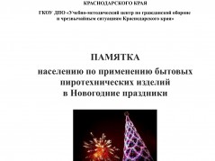 ПАМЯТКА населению по применению бытовых пиротехнических изделий в Новогодние праздники