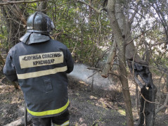 Об аварийно-спасательных работах, проведенных МКУ МО город Краснодар ПАСС «Служба спасения»