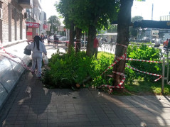 Об аварийно-спасательных работах, проведенных МКУ МО город Краснодар ПАСС «Служба спасения»