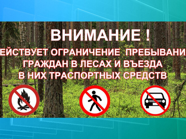 На Кубани, с учётом погодных условий, введён режим ограничения на пребывание граждан на землях лесного фонда