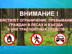 На Кубани, с учётом погодных условий, введён режим ограничения на пребывание граждан на землях лесного фонда