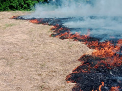 Об аварийно-спасательных работах, проведенных МКУ МО город Краснодар ПАСС «Служба спасения»