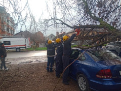 Спасатели «Службы спасения»  деблокировали автомобиль из под упавшего на него дерева.