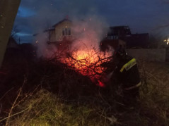 Гуманитарная помощь