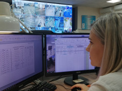 Суточная информация