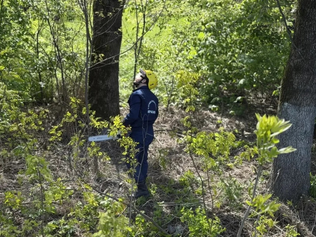 Солнечная погода + сплочённая команда = субботник в действии!