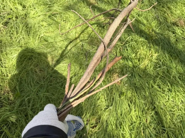 Солнечная погода + сплочённая команда = субботник в действии!