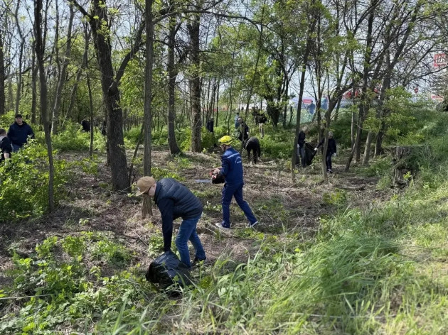 Солнечная погода + сплочённая команда = субботник в действии!