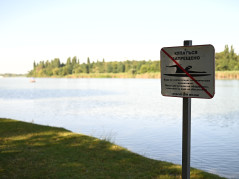 За обстановкой на воде в Краснодаре следят 72 камеры: спасатели рассказали Евгению Наумову о профилактике происшествий на водоёмах города