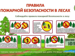 На Кубани возобновлены ограничения на пребывание граждан на землях лесного фонда  В целях предотвращения чрезвычайных ситуаций и обеспечения пожарной безопасности на территории лесного фонда Краснодарского края возобновляется режим ограничения на пребыван